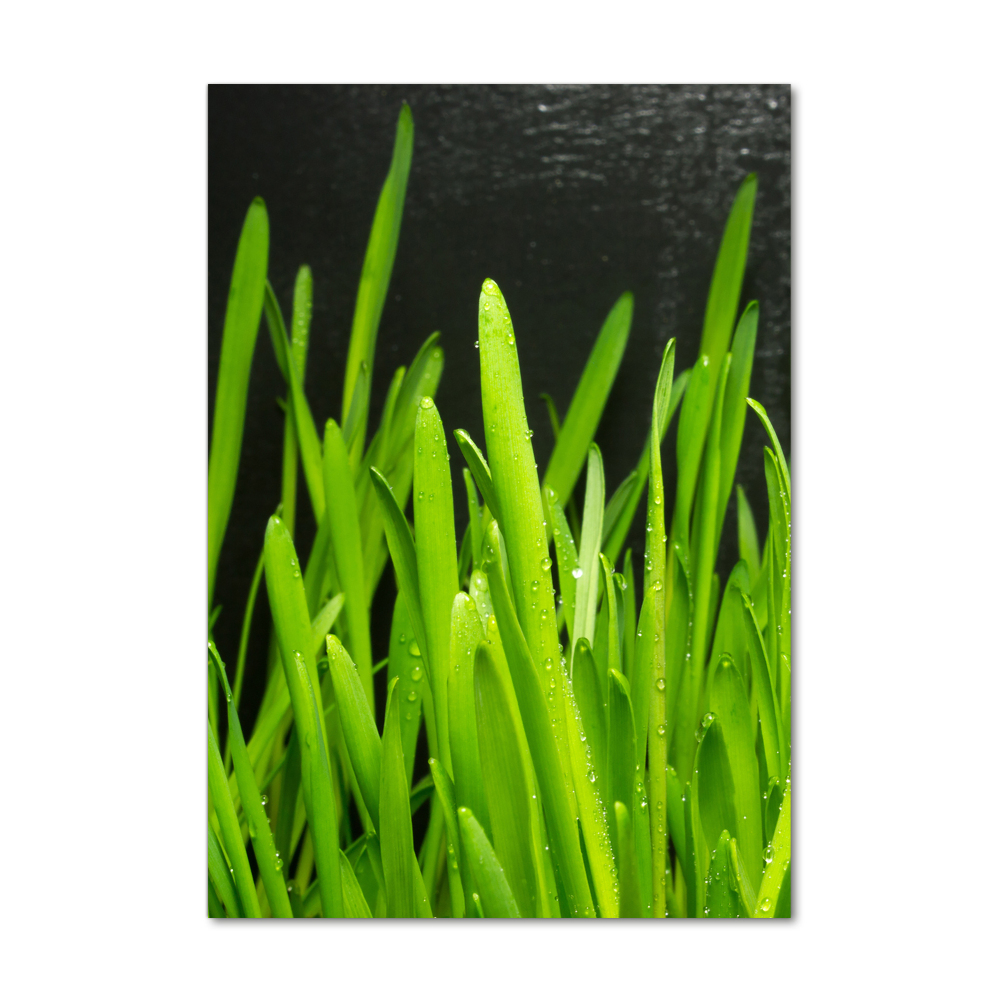 Tableau verre acrylique Tiges d'herbe