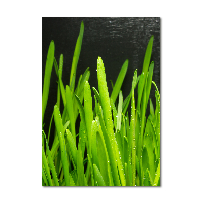 Tableau verre acrylique Tiges d'herbe