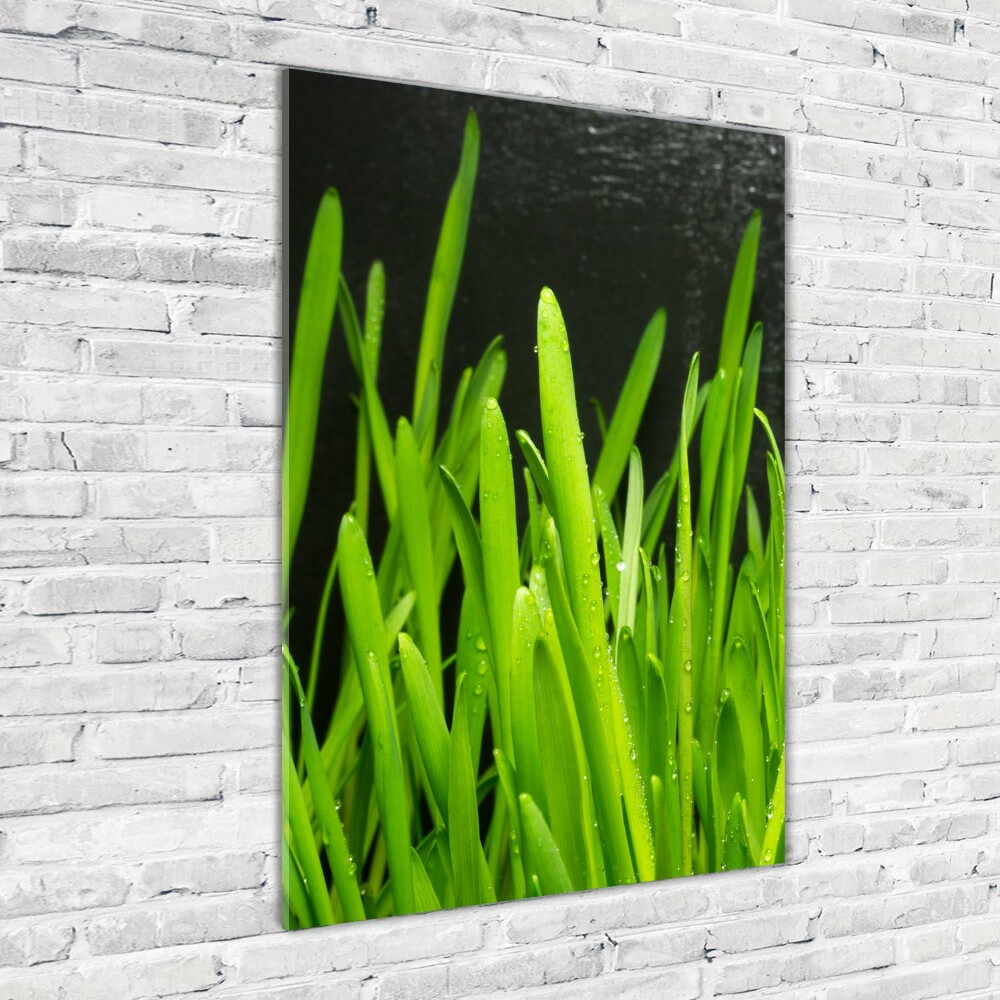 Tableau verre acrylique Tiges d'herbe