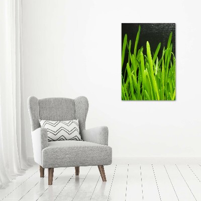 Tableau verre acrylique Tiges d'herbe