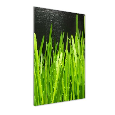 Tableau verre acrylique Tiges d'herbe