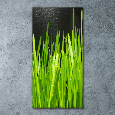 Tableau verre acrylique Tiges d'herbe