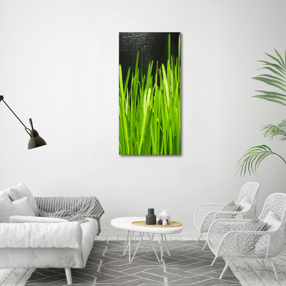 Tableau verre acrylique Tiges d'herbe