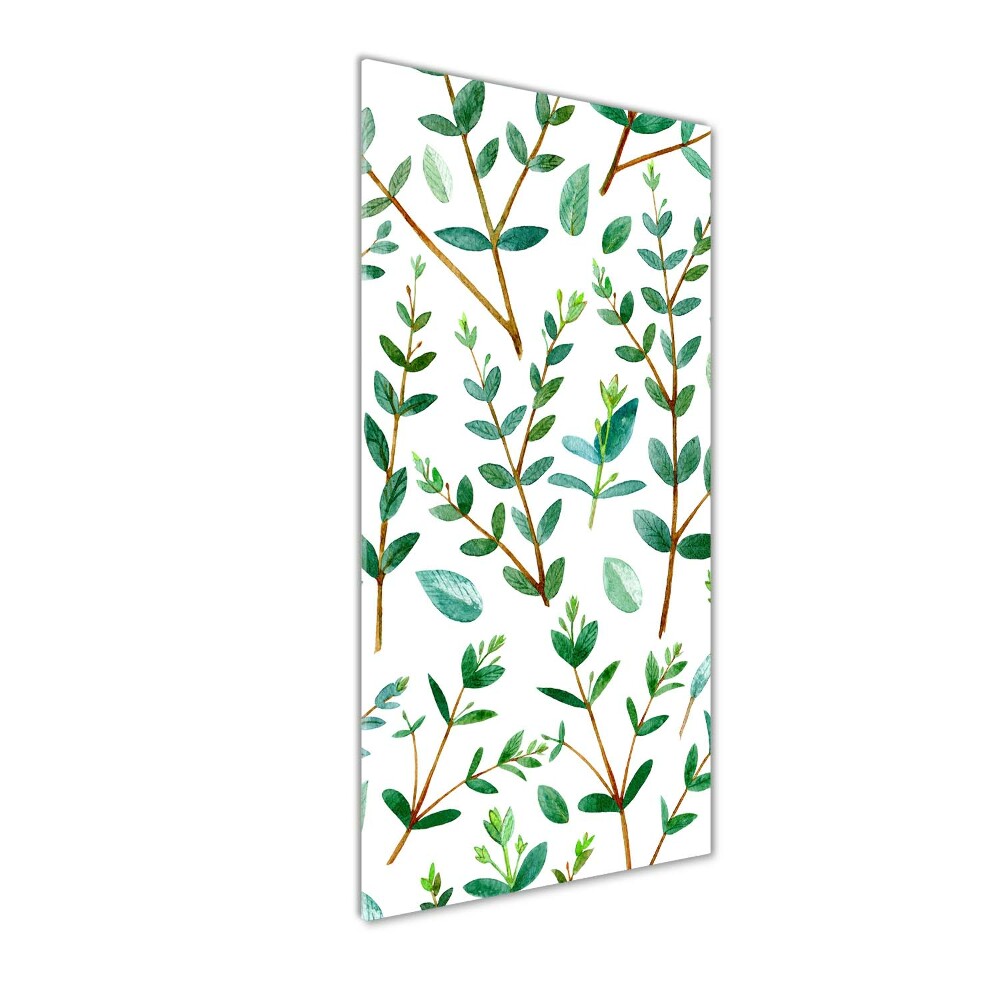 Tableau acrylique Branches d'eucalyptus