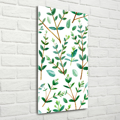 Tableau acrylique Branches d'eucalyptus