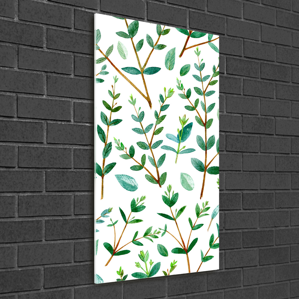 Tableau acrylique Branches d'eucalyptus