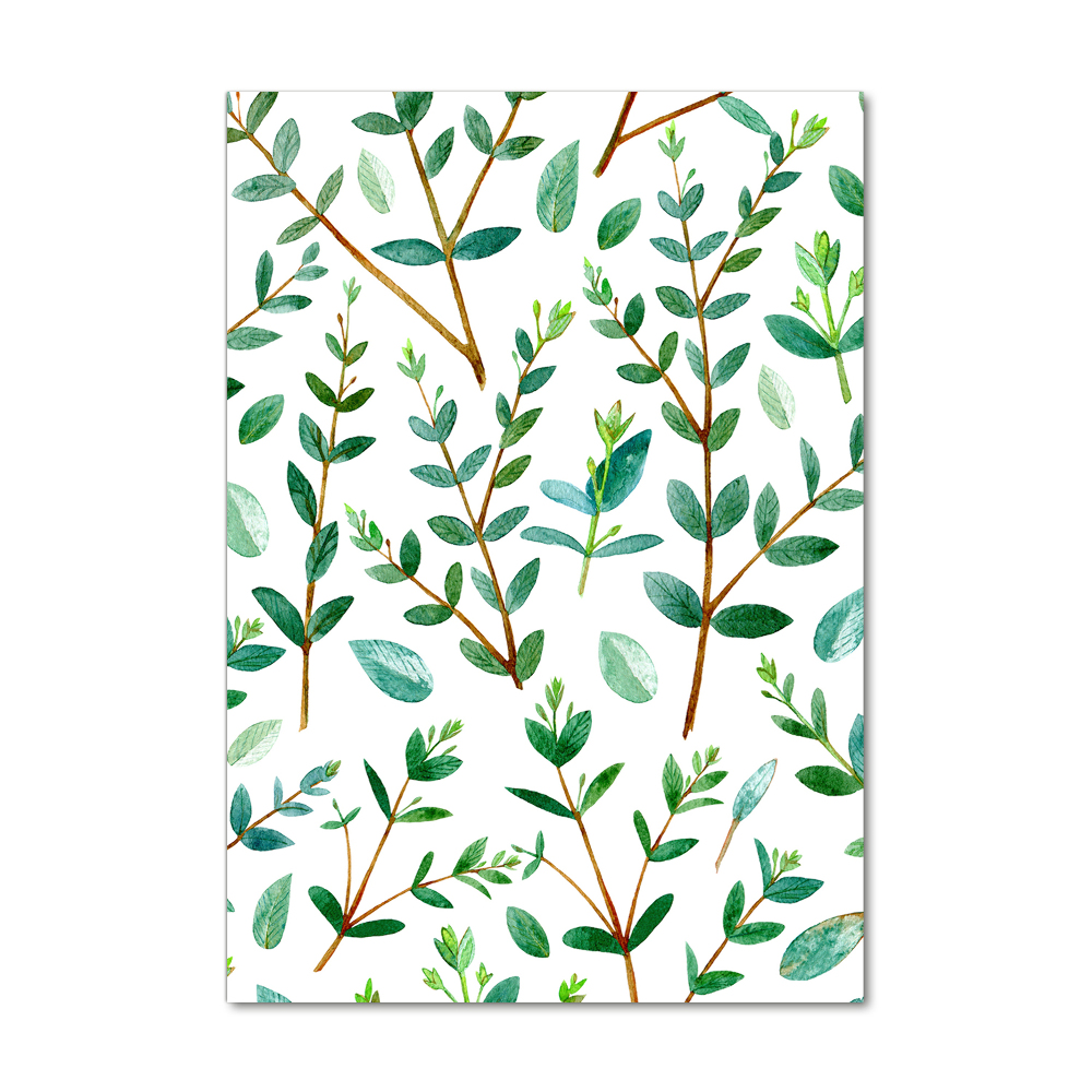 Tableau acrylique Branches d'eucalyptus