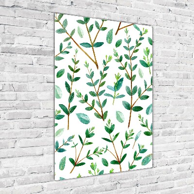 Tableau acrylique Branches d'eucalyptus