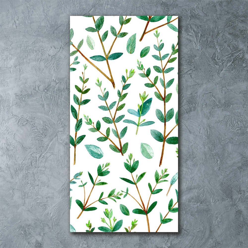 Tableau acrylique Branches d'eucalyptus