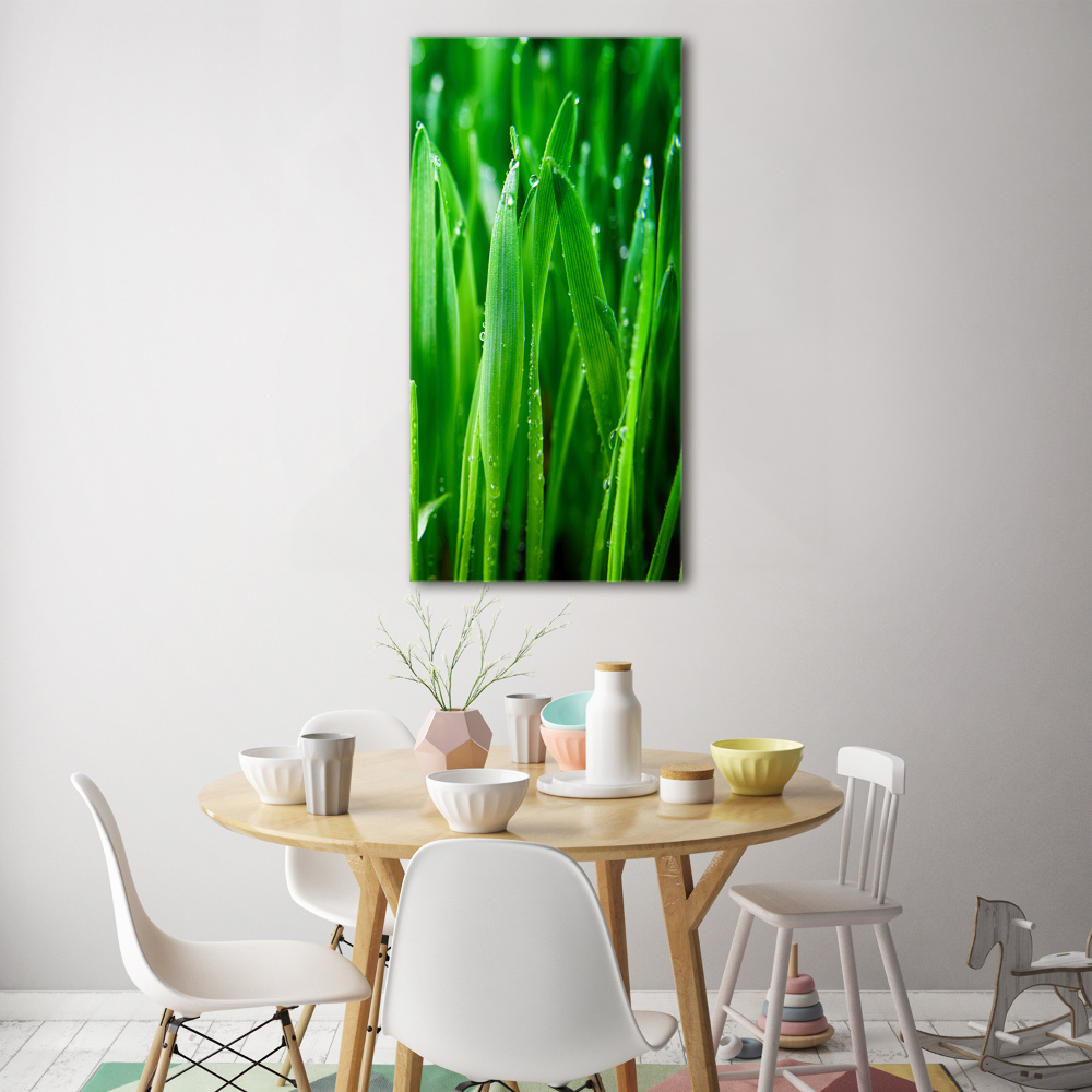 Tableau sur verre acrylique Tiges d'herbe