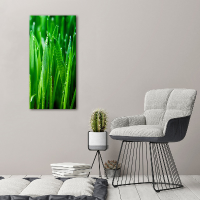 Tableau sur verre acrylique Tiges d'herbe