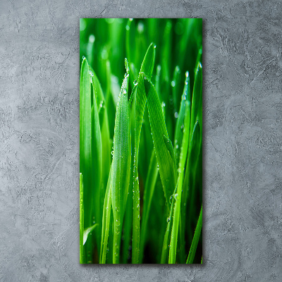 Tableau sur verre acrylique Tiges d'herbe