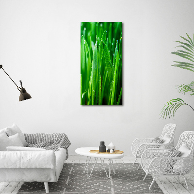 Tableau sur verre acrylique Tiges d'herbe