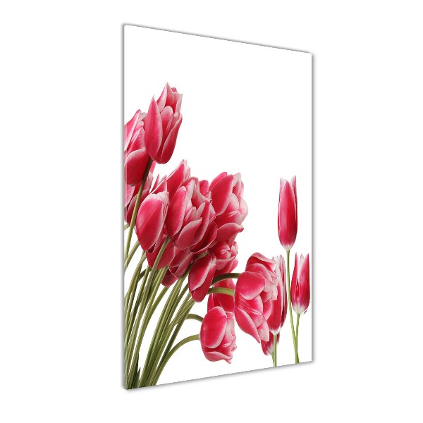 Tulipes rouges