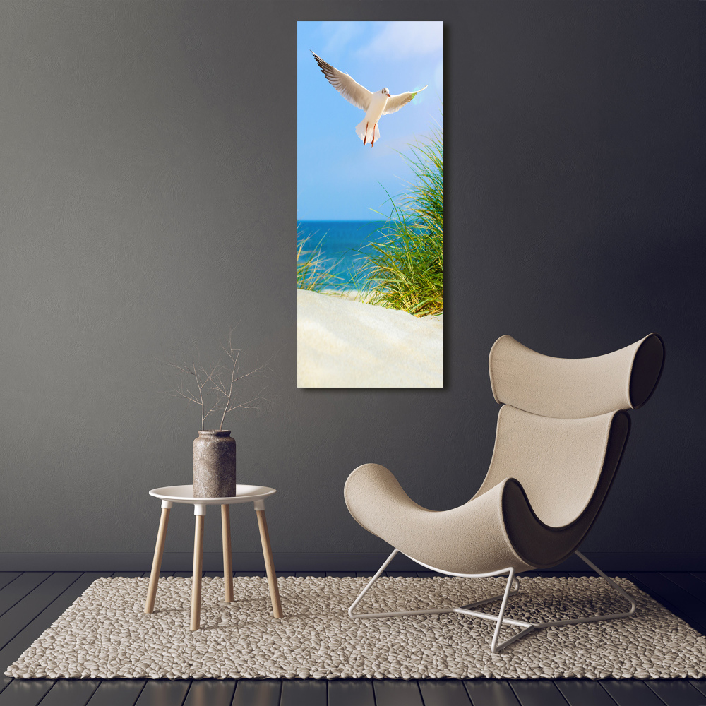 Tableau en acrylique Mouette au-dessus des dunes