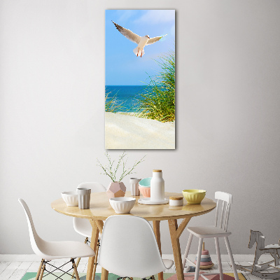 Tableau en acrylique Mouette au-dessus des dunes