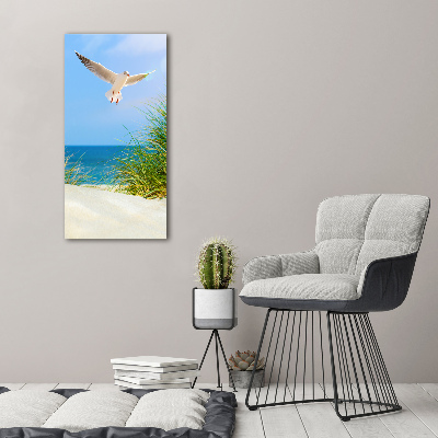 Tableau en acrylique Mouette au-dessus des dunes