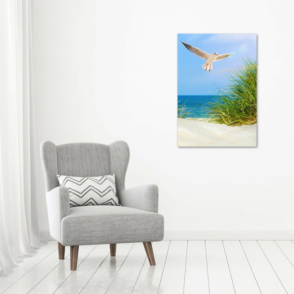 Tableau en acrylique Mouette au-dessus des dunes