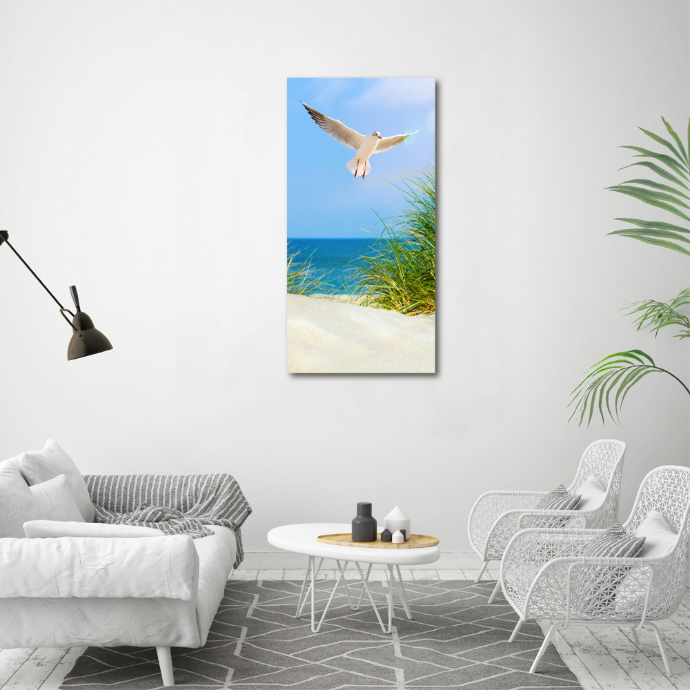 Tableau en acrylique Mouette au-dessus des dunes