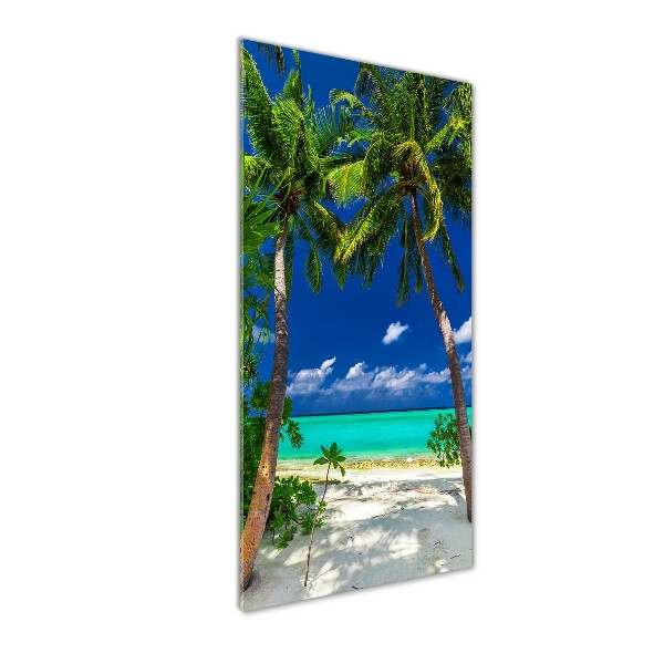 Tableau sur verre acrylique Plage tropicale palmiers