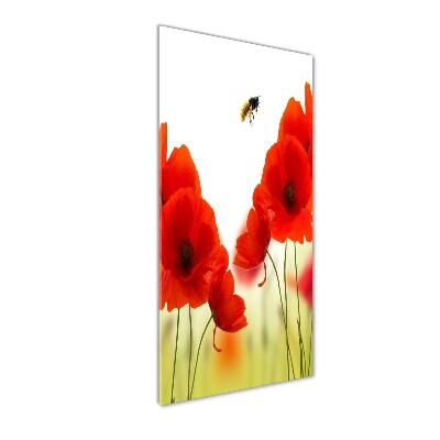 Tableau acrylique Fleurs de coquelicots rouges