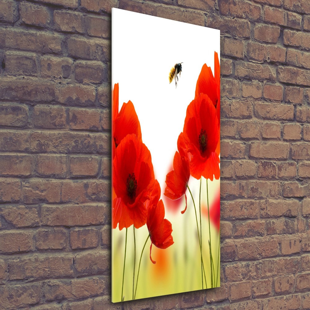 Tableau acrylique Fleurs de coquelicots rouges