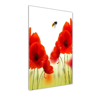 Tableau acrylique Fleurs de coquelicots rouges