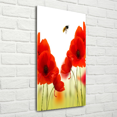 Tableau acrylique Fleurs de coquelicots rouges