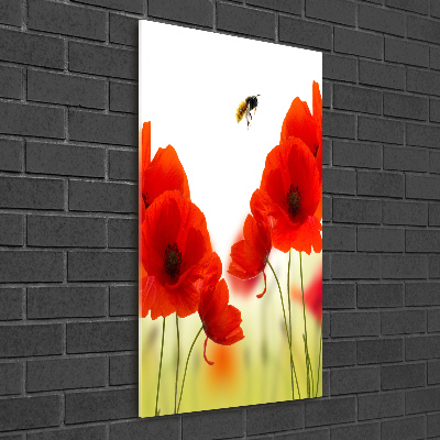 Tableau acrylique Fleurs de coquelicots rouges