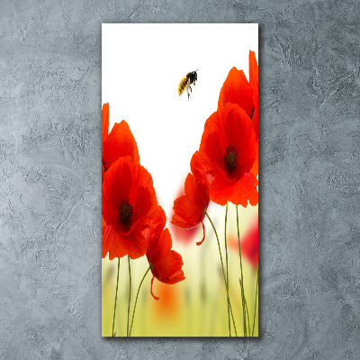 Tableau acrylique Fleurs de coquelicots rouges