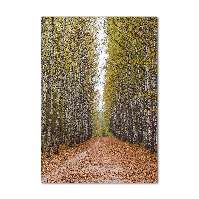 Tableau verre acrylique Forêt de bouleaux