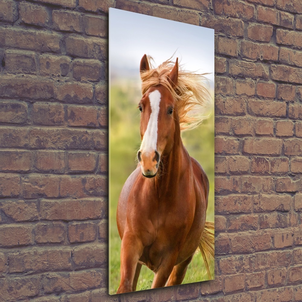 Tableau en acrylique Cheval au galop