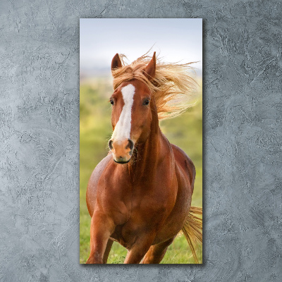 Tableau en acrylique Cheval au galop