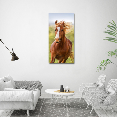 Tableau en acrylique Cheval au galop