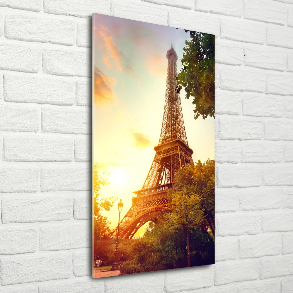 Tableau sur verre acrylique Architecture Tour Eiffel France