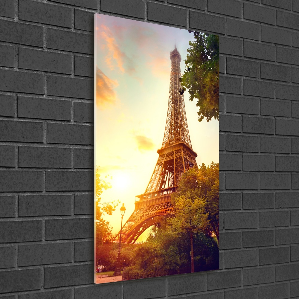 Tableau sur verre acrylique Architecture Tour Eiffel France