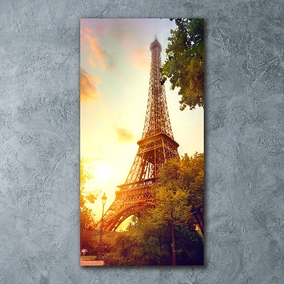 Tableau sur verre acrylique Architecture Tour Eiffel France