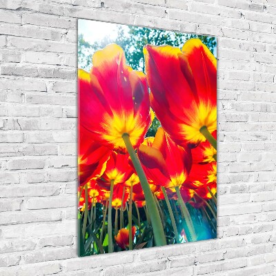 Acrylique tableau Tulipes rouges