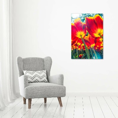 Acrylique tableau Tulipes rouges