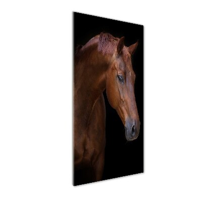 Tableau verre acrylique Portrait d'un cheval