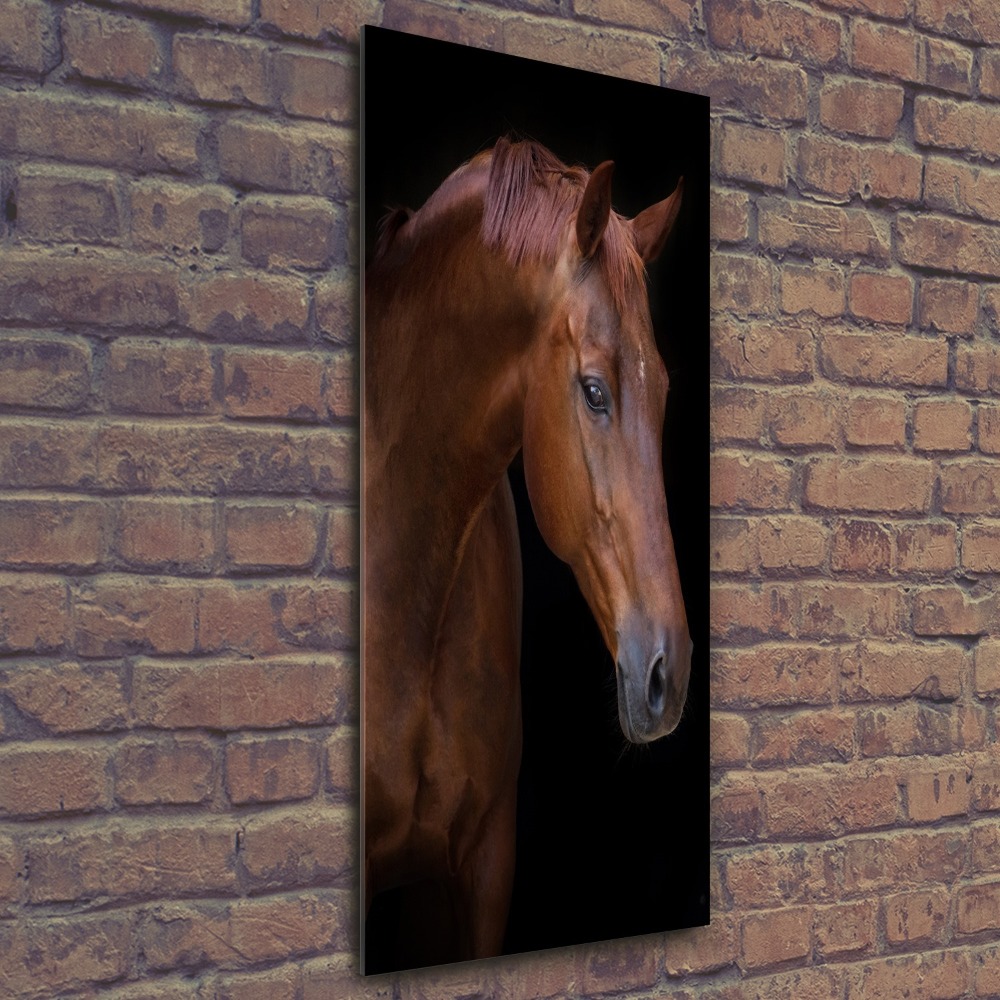 Tableau verre acrylique Portrait d'un cheval