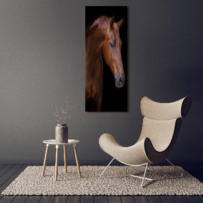 Tableau verre acrylique Portrait d'un cheval