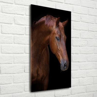 Tableau verre acrylique Portrait d'un cheval