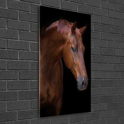 Tableau verre acrylique Portrait d'un cheval