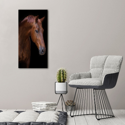 Tableau verre acrylique Portrait d'un cheval