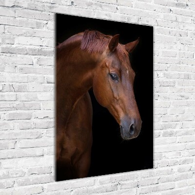 Tableau verre acrylique Portrait d'un cheval