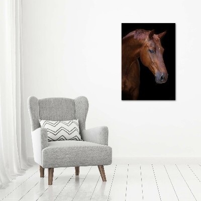 Tableau verre acrylique Portrait d'un cheval