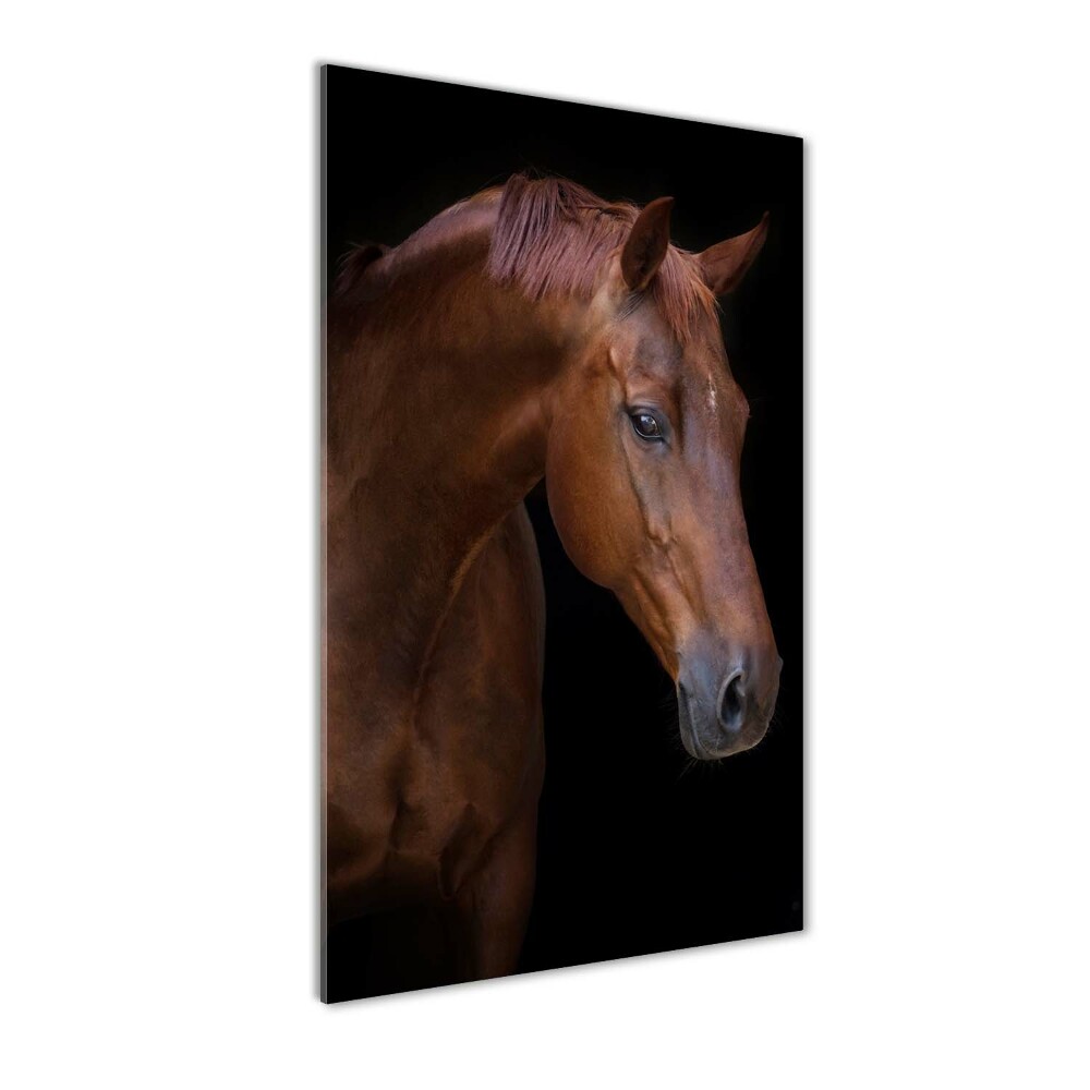 Tableau verre acrylique Portrait d'un cheval