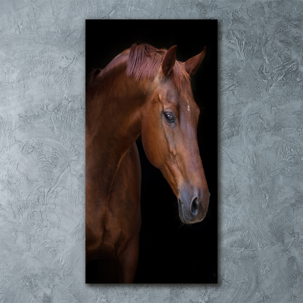 Tableau verre acrylique Portrait d'un cheval