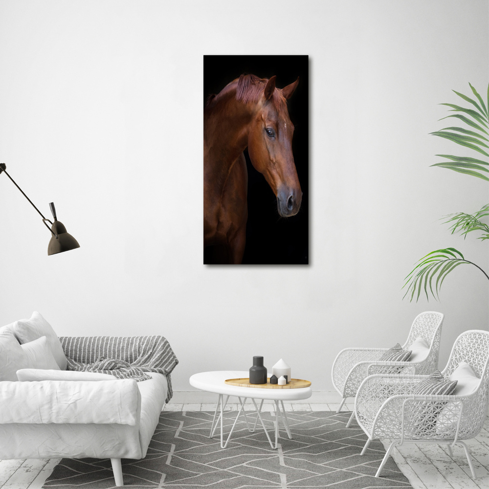 Tableau verre acrylique Portrait d'un cheval